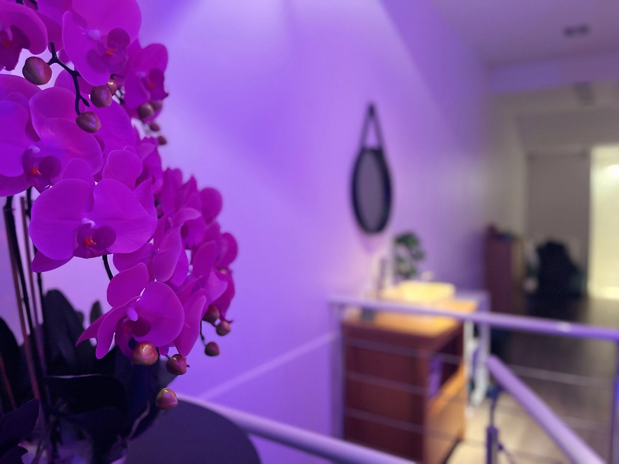 Julia SPA — photo 4