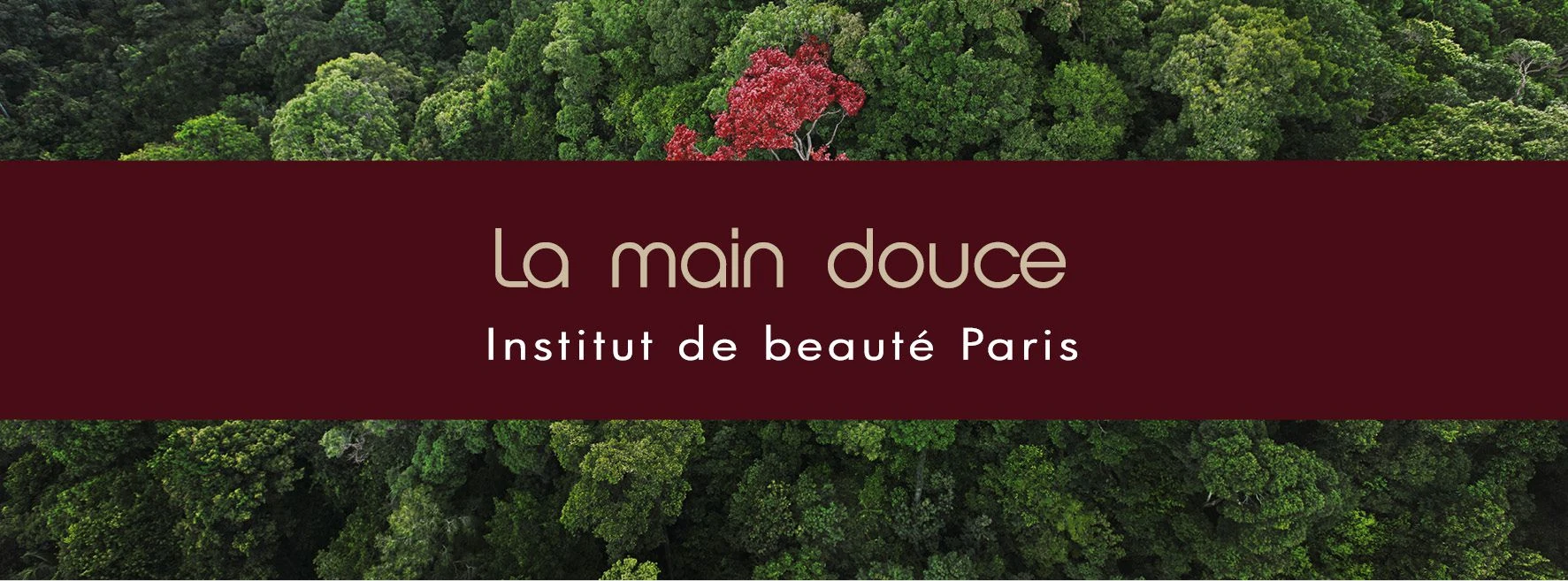 La Main Douce — photo 5