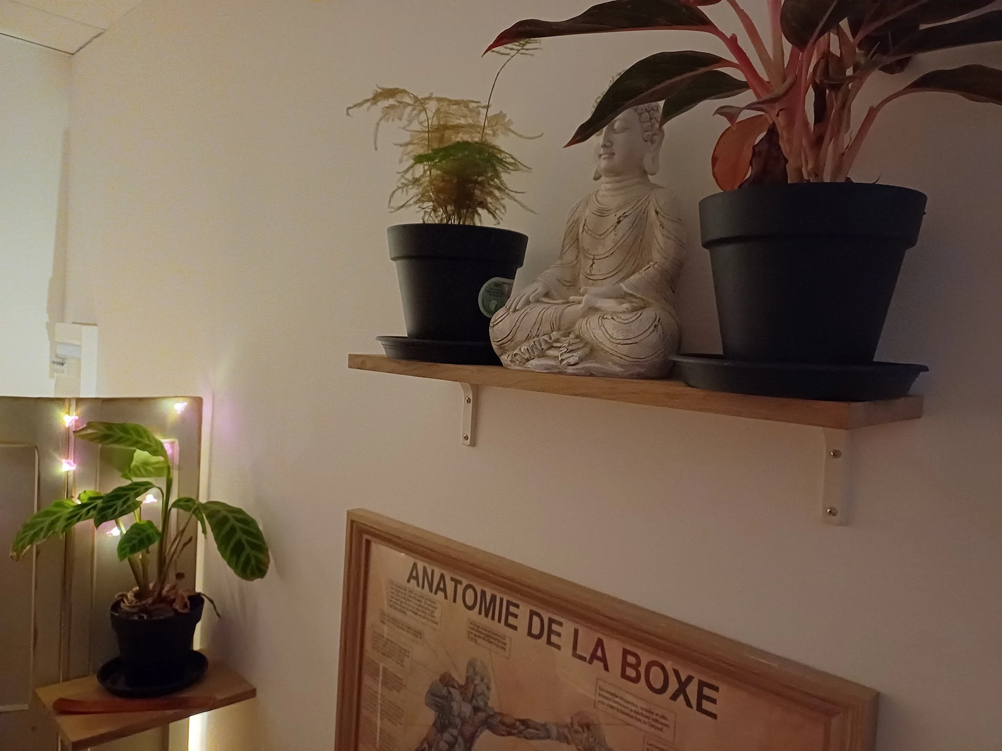 La pause — photo 3